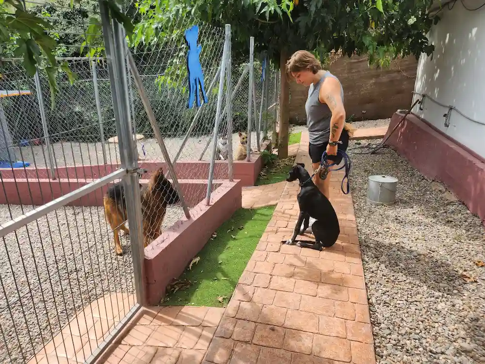 hotel para perros equipo especializado