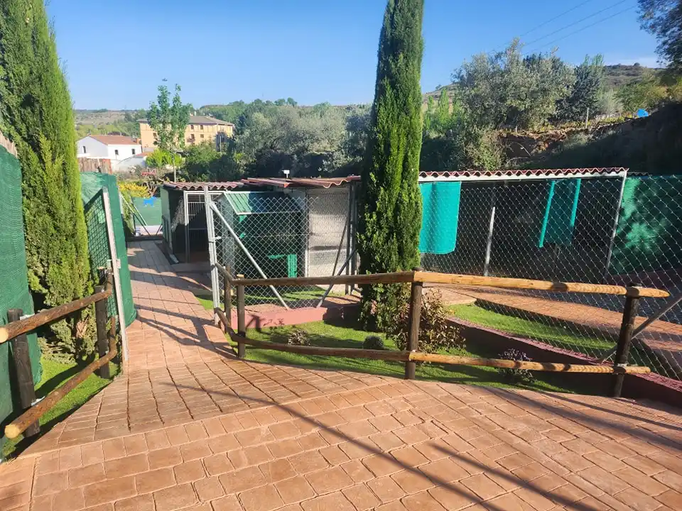 opiniones hotel canino