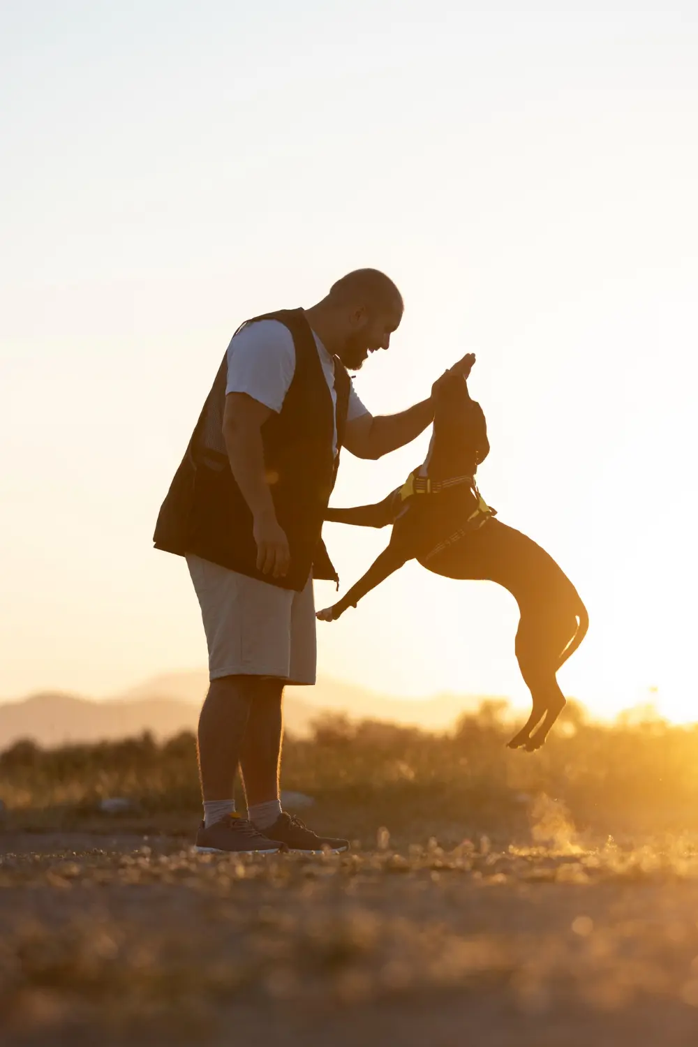 servicios guarderia canina la rioja